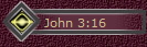 John 3:16