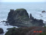 The Oregon Coast