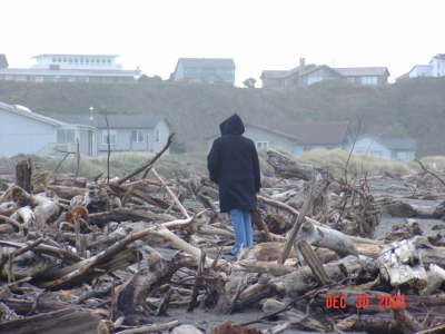 Driftwood